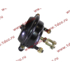 Камера тормозная передняя левая SH F3000 SHAANXI / Shacman (ШАНКСИ / Шакман) 81.51101.6264 фото 2 Сургут