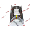 Вкладыши шатунные WP12 (комплект) SH HUATAI SHAANXI / Shacman (ШАНКСИ / Шакман) 612630020018/19 фото 2 Сургут