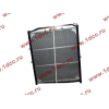 Радиатор WP10 SH SHAANXI / Shacman (ШАНКСИ / Шакман) DZ9112539268 фото 2 Сургут