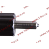 Форсунка в сборе HOKA WD615.95C HOWO (ХОВО) VG1096080010 фото 2 Сургут