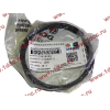 Кольца поршневые (компл. на дв-ль) DF DONG FENG (ДОНГ ФЕНГ) C3964073,C3921919,C394841 для самосвала фото 3 Сургут