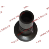 Стакан штанги-толкателя двигатель TD226B6G LONGGONG Lonking CDM (СДМ) 12273399 фото 4 Сургут